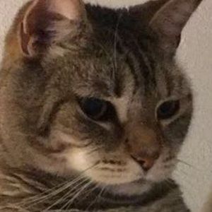 Meet your Posher, Teagan